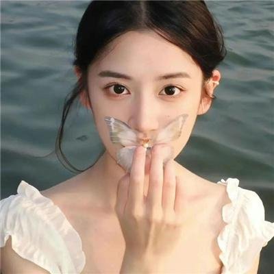 雪莉2024